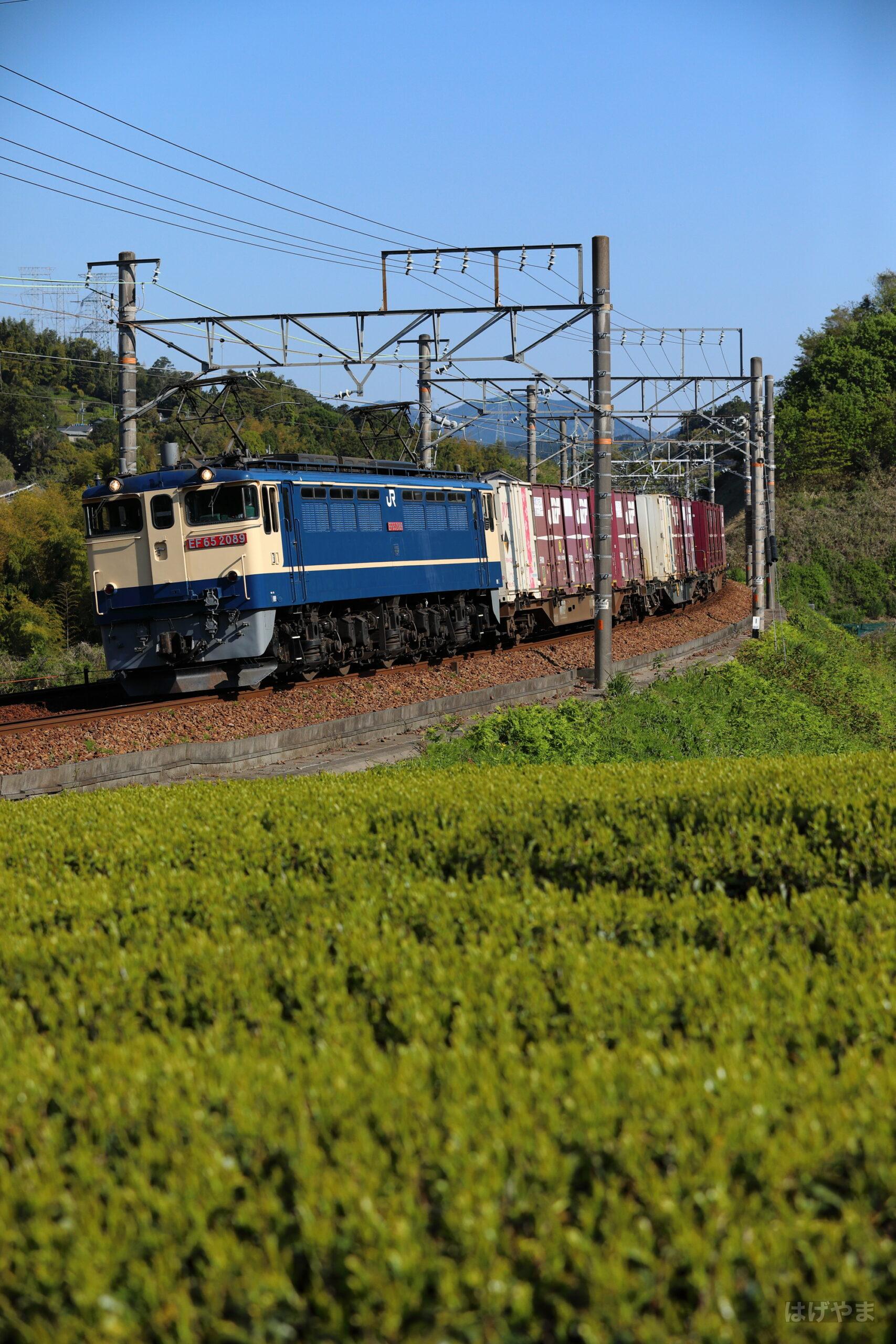 「5087レ」・金谷~菊川・EF65-2089