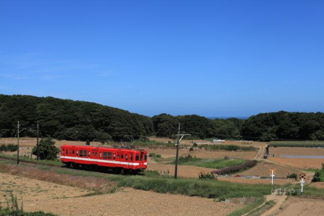 「銚子電鉄」・海鹿島～君ヶ浜・キャベツ畑