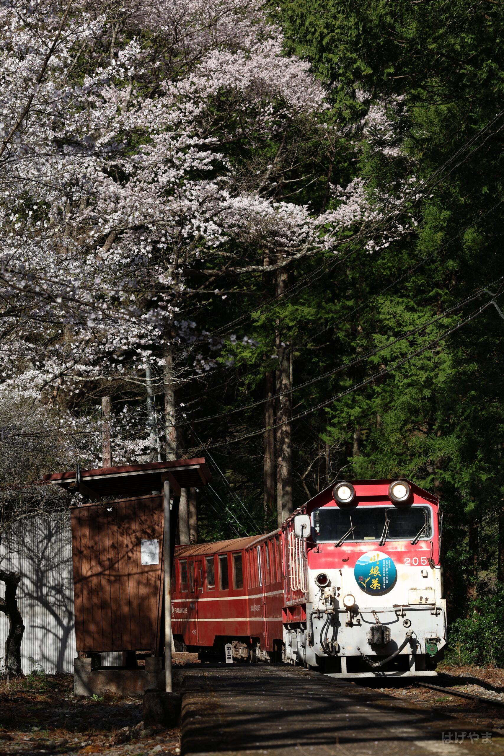 「204列車」・土本駅