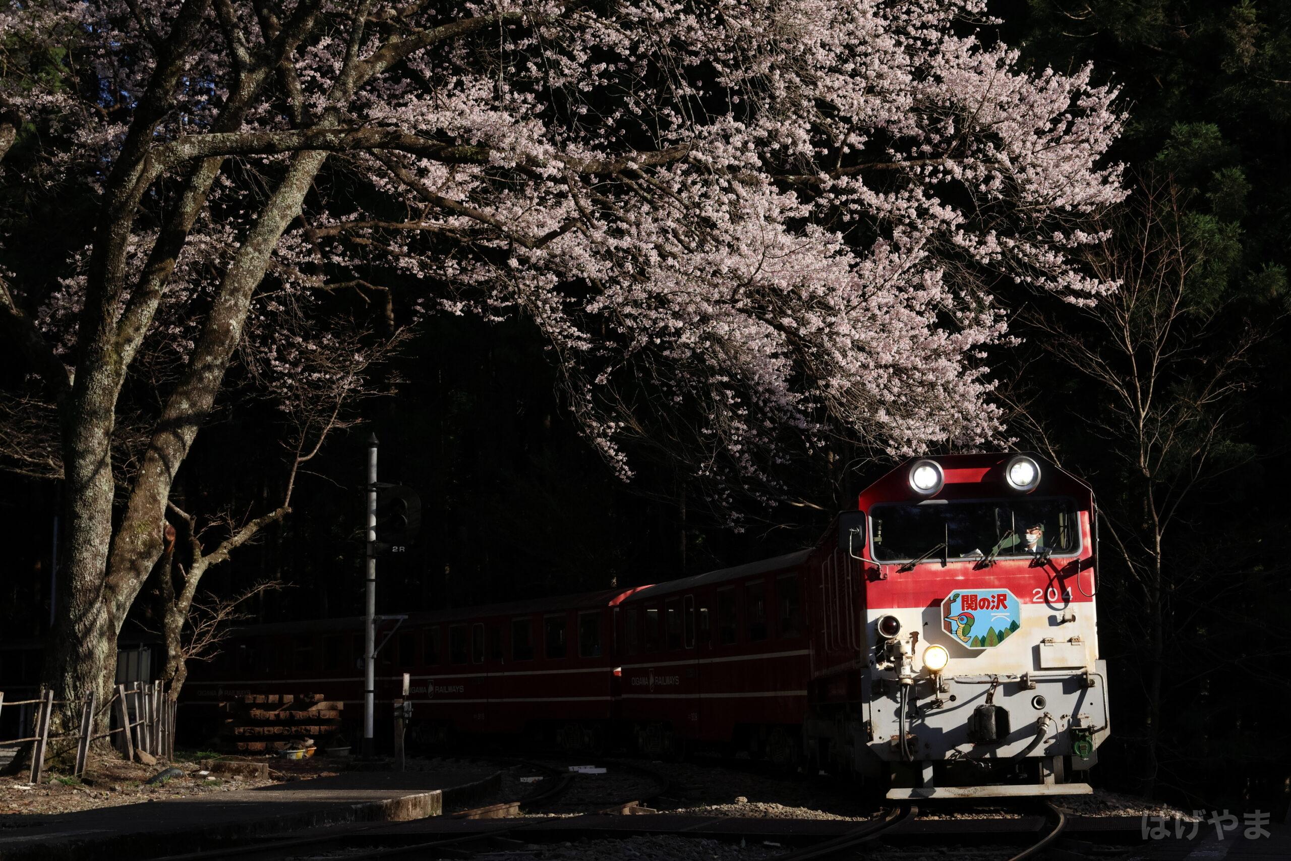 「404列車」・川根小山駅