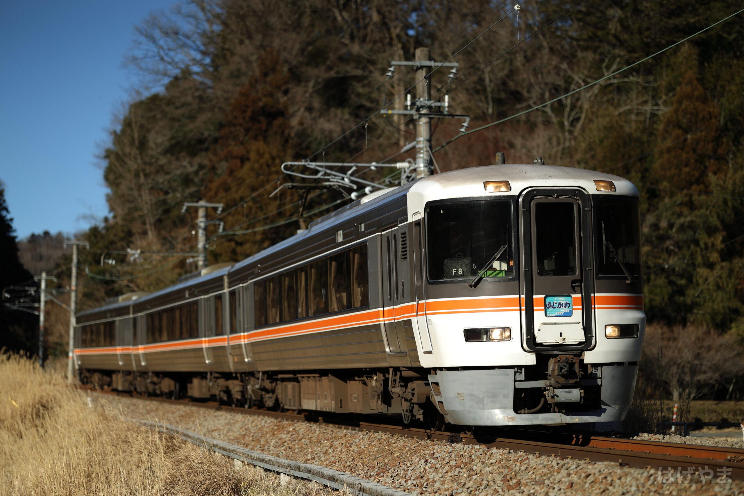 2月11日「ふじかわ10号」時雨沢踏切