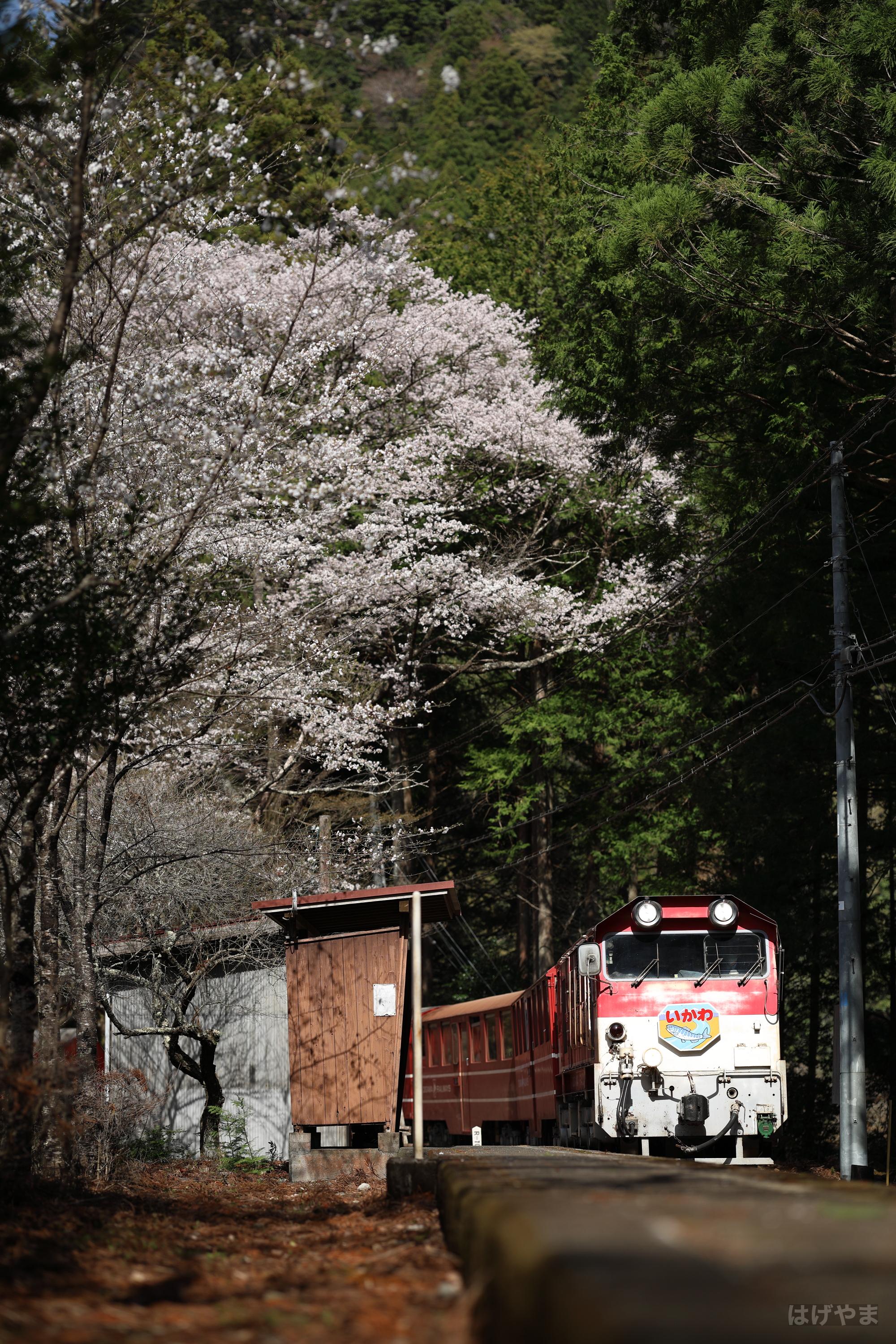 「202列車」・土本駅