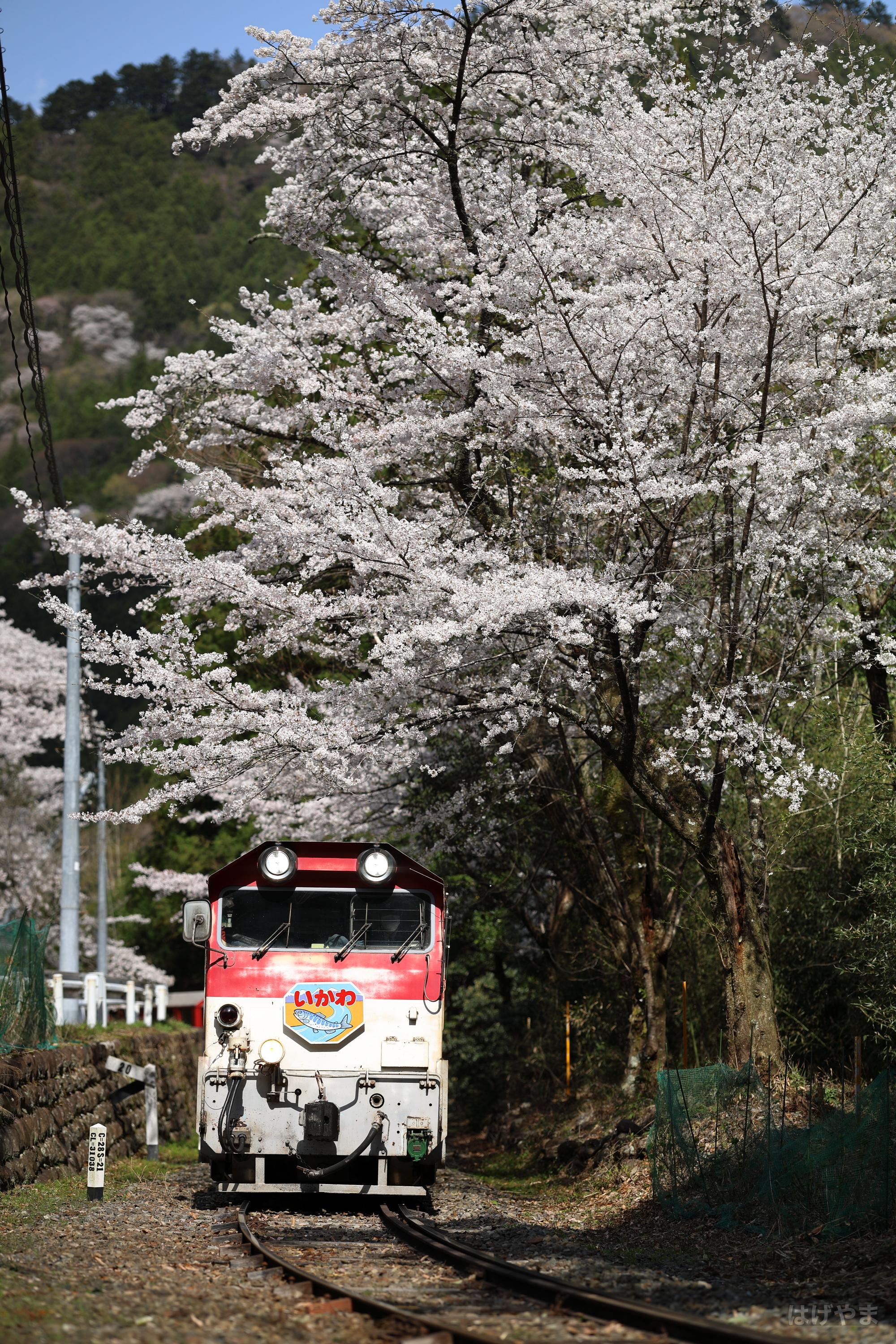 「202列車」・沢間駅